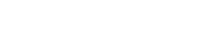 AXEPLA Footer Logo